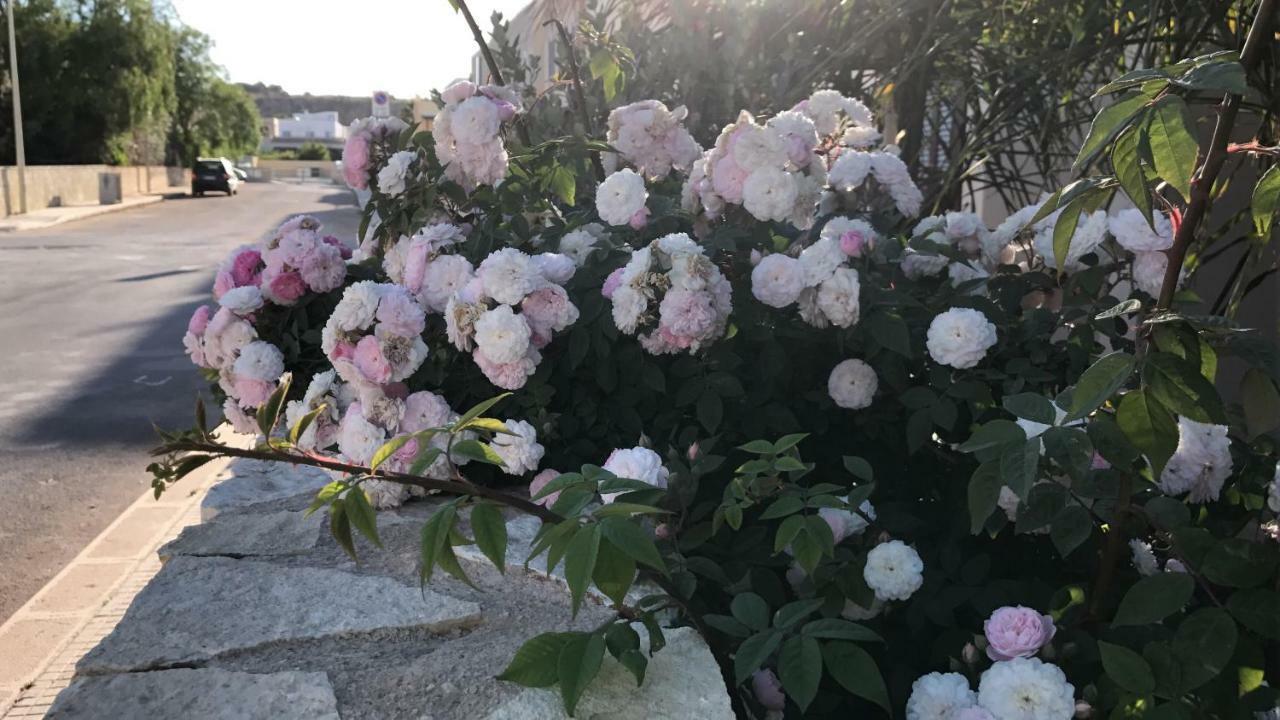 Cima Bianca Acomodação com café da manhã San Vito Lo Capo Exterior foto