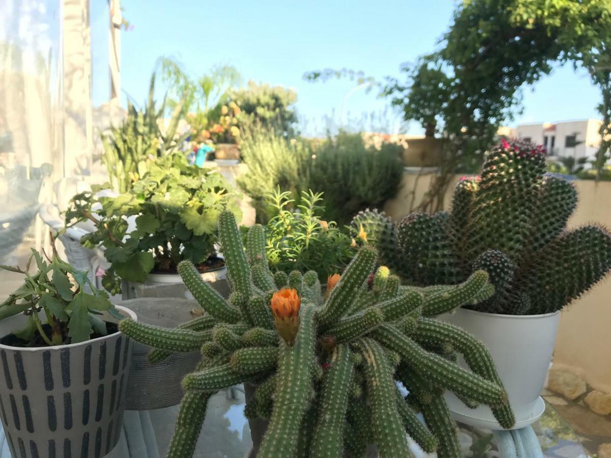 Cima Bianca Acomodação com café da manhã San Vito Lo Capo Exterior foto